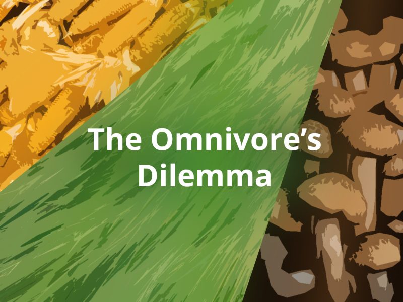 the omnivores dilemma summary